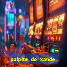 palpite do xande de hoje