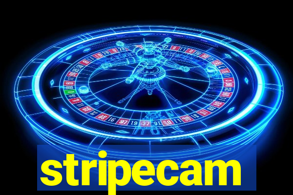 stripecam