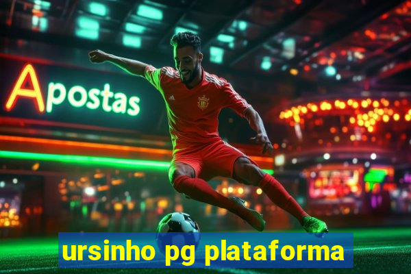 ursinho pg plataforma