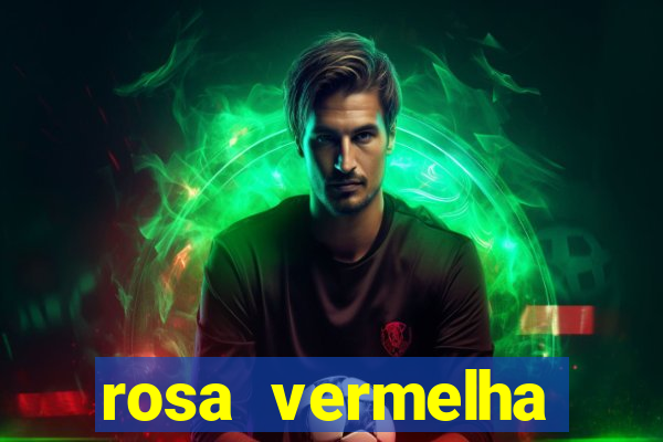 rosa vermelha (letra e cifra)