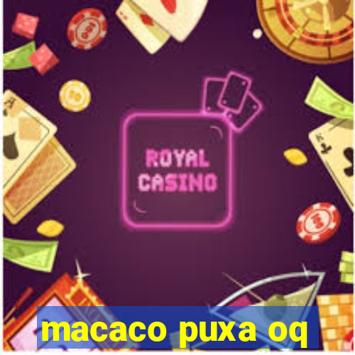 macaco puxa oq