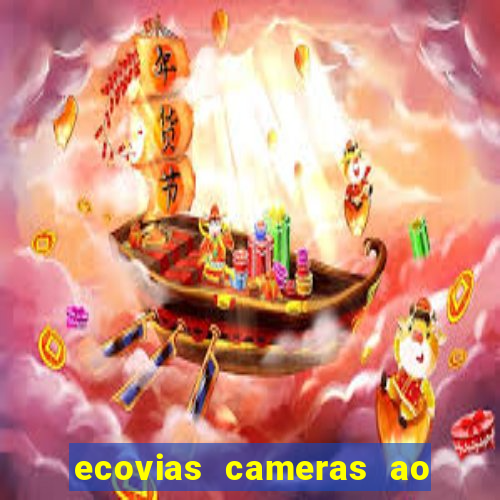 ecovias cameras ao vivo santos