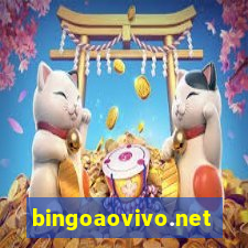 bingoaovivo.net