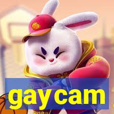 gaycam