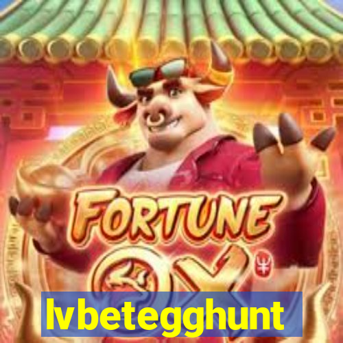 lvbetegghunt