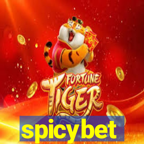 spicybet-4.com