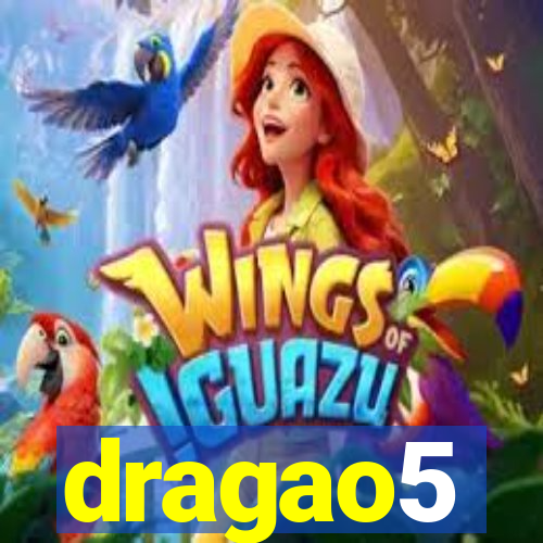 dragao5