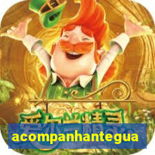 acompanhanteguanambi