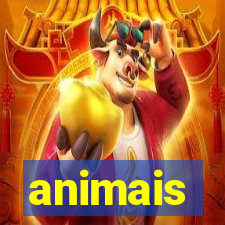 animais-pg.com