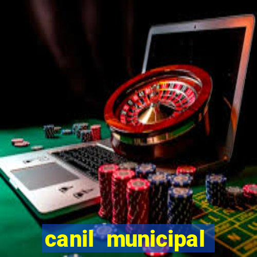 canil municipal porto alegre