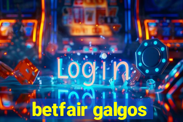 betfair galgos