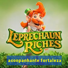 aconpanhante fortaleza