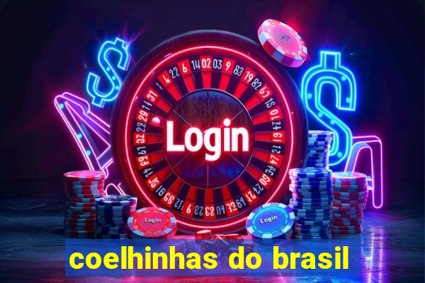 coelhinhas do brasil